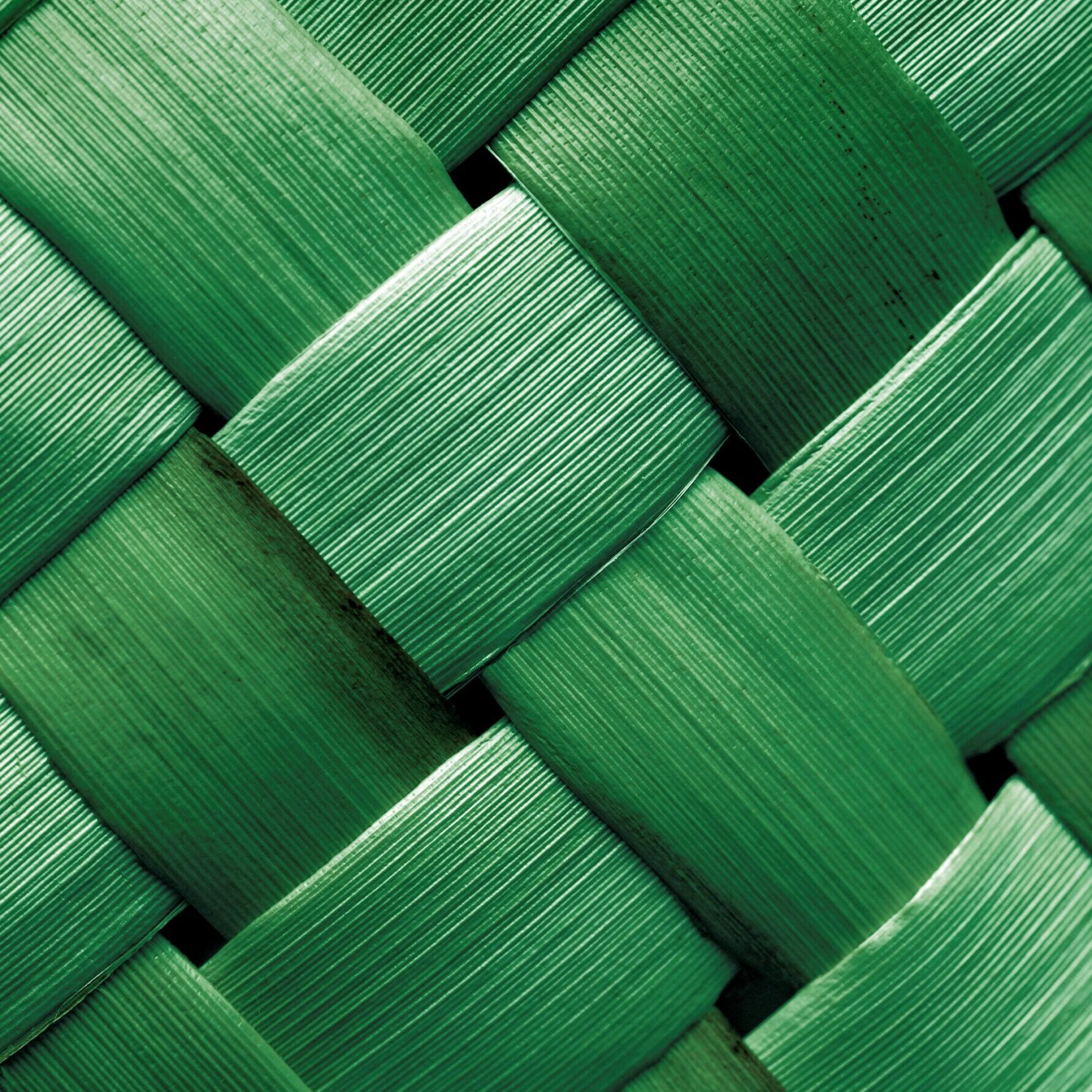 51789XB00-Traditional indigenous Maori weaving of flax leaves and fibre (Phormium sp. Harekeke). Criss cross pattern. Green toned. NZ Photo by Rob Suisted, Nature's Pic Images, Wellington, NEW ZEALAND. Photo copyright to Rob Suisted - All rights reserved. Fees payable for all uses. Please contact us for licencing at: Email: robsuisted@naturespic.com